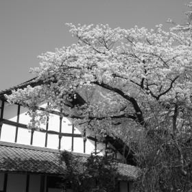 日本の風景